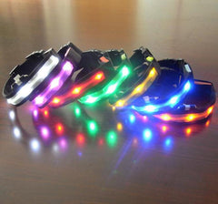 Anti-Lost LED Flashing Glow Dog Collars - Giortazo