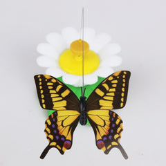Rotating Colorful Butterfly & Bird Cat Toy - Giortazo